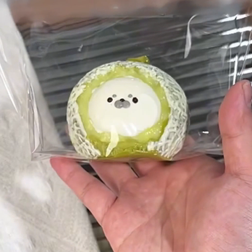 フルーツシーズン メロンアザラシ