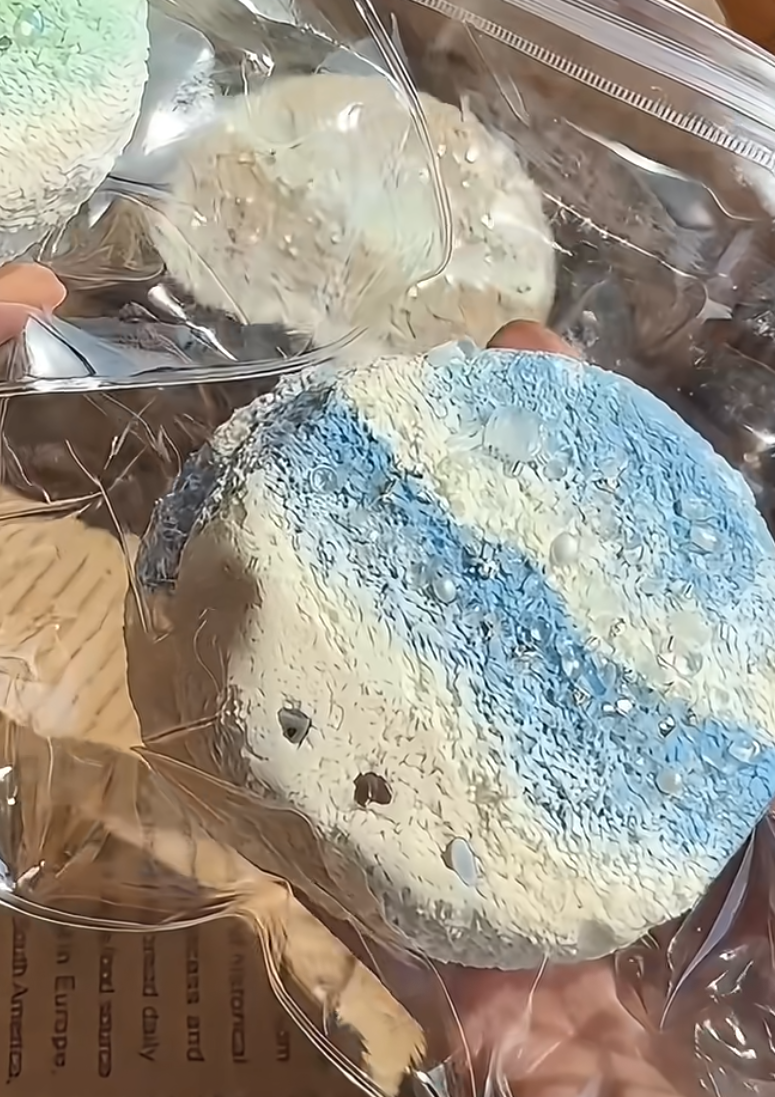 受注生産]nuonuo studio ノノスタジオ海トースト スクイーズおもちゃ